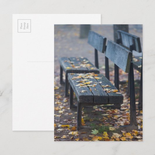 Foggy-ochtendparkbank, Duitsland Briefkaart (Voorkant / Achterkant)