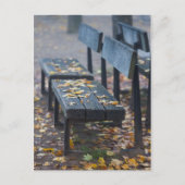 Foggy-ochtendparkbank, Duitsland Briefkaart (Voorkant)