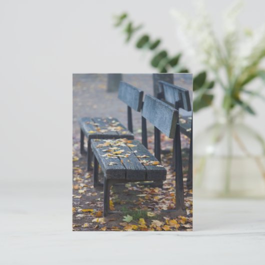 Foggy-ochtendparkbank, Duitsland Briefkaart (Staand voorkant)