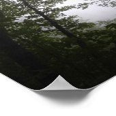 Foggy Pacific Dogwood Forest Poster (Hoek)