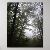 Foggy Pacific Dogwood Forest Poster (Voorkant)