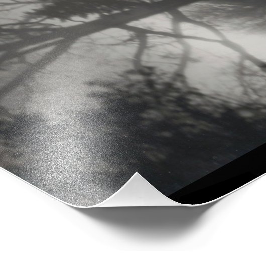 Foggy Path Foto Afdruk (Hoek)