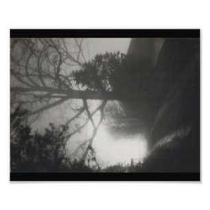 Foggy Path Foto Afdruk