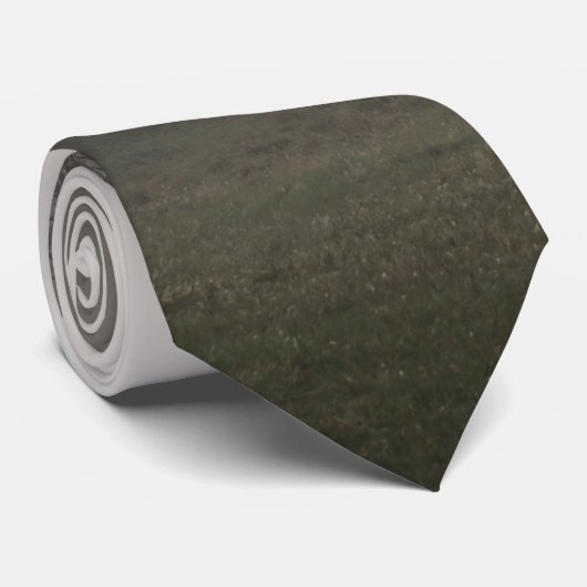 Foggy Starburst Tree Landscape Stropdas (Opgerold)