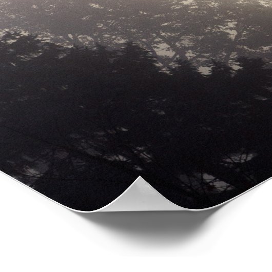 Foggy Sunrise Poster (Hoek)