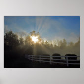 Foggy Sunrise Poster (Voorkant)