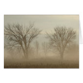 Foggy Trees (Voorkant Horizontaal)