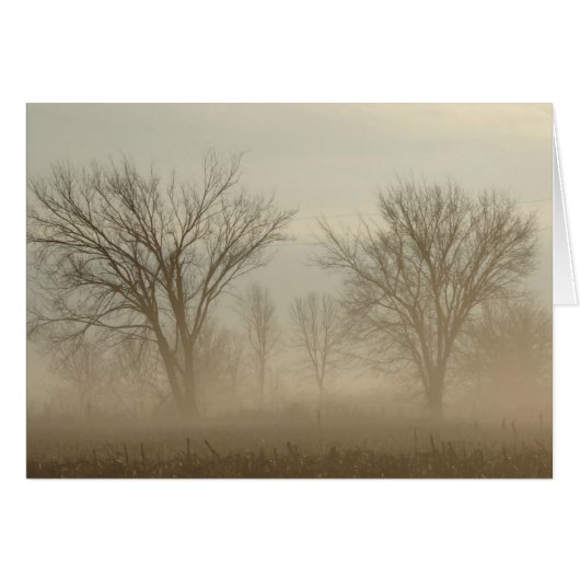Foggy Trees (Voorkant Horizontaal)