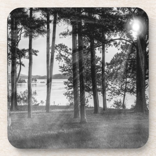 Foggy Trees bij Table Rock Grayscale Bier Onderzetter (Voorkant)