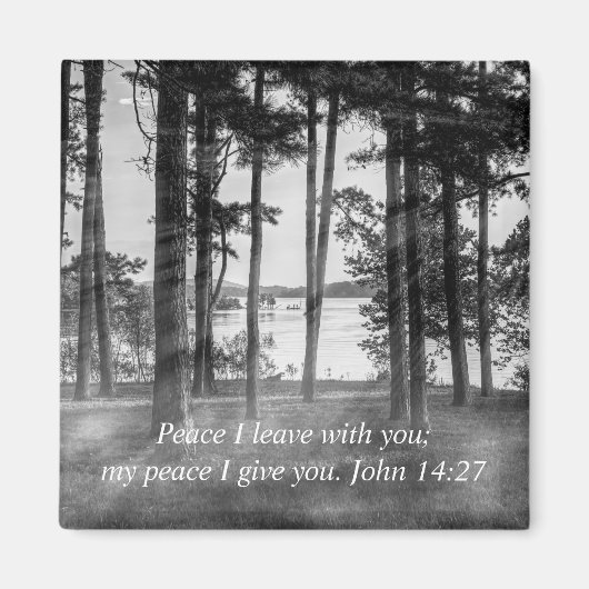 Foggy Trees bij Table Rock Grayscale Bijbel Verse Magneet (Voorkant)