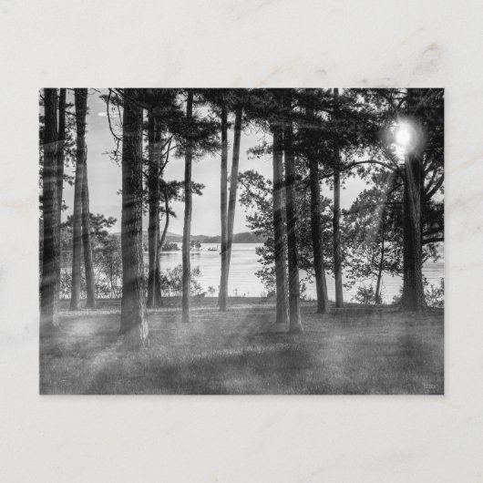 Foggy Trees bij Table Rock Grayscale Briefkaart (Voorkant)
