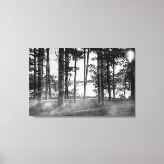Foggy Trees bij Table Rock Grayscale Canvas Afdruk (Voorkant)