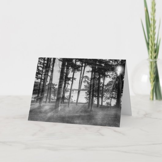 Foggy Trees bij Table Rock Grayscale Kaart (Voorkant)