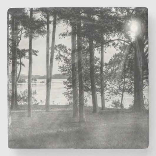 Foggy Trees bij Table Rock Grayscale Stenen Onderzetter (Voorkant)