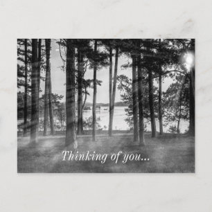 Foggy Treess Table Rock grayscale denkend aan jou Briefkaart