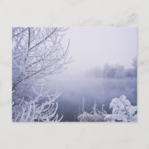 Foggy Winter Day bij de rivier Briefkaart