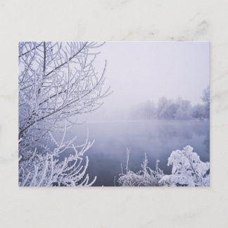 Foggy Winter Day bij de rivier Briefkaart