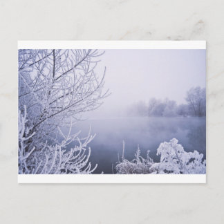 Foggy Winter Day bij de rivier Briefkaart
