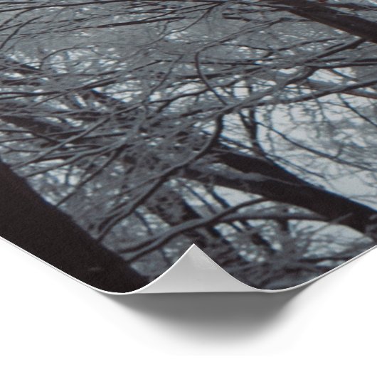 Foggy Winter Forest Poster (Hoek)