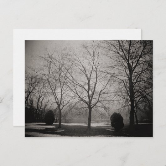 Foggy Winter Melting Snow Art Briefkaart (Voorkant / Achterkant)