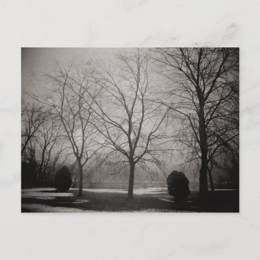 Foggy Winter Melting Snow Art Briefkaart (Voorkant)