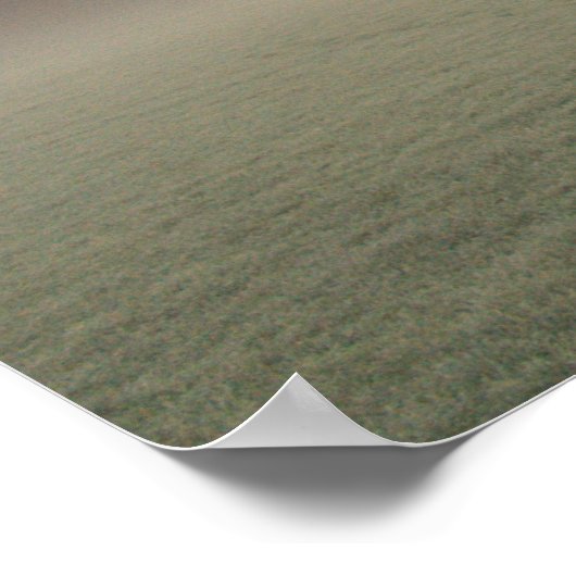 Foggy Winter Sunrise (6598) Poster (Hoek)