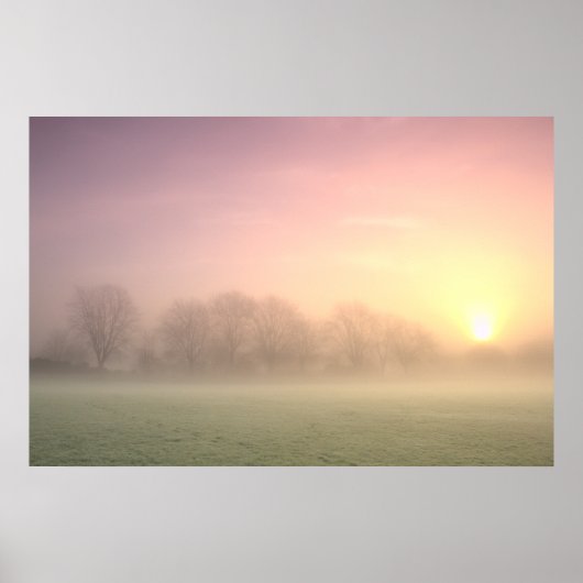 Foggy Winter Sunrise (6598) Poster (Voorkant)