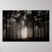 Foggy Woodland Rushmere Country Park (0872) Poster (Voorkant)
