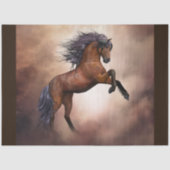 fok- en pootweefselpapier tissuepapier (Voorkant)