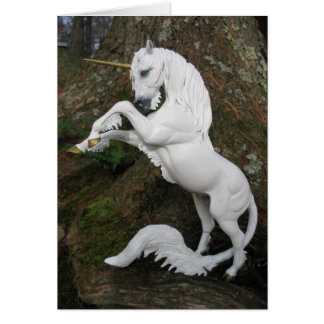 Fok Unicorn Stallion