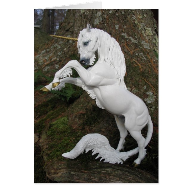 Fok Unicorn Stallion (Voorkant)