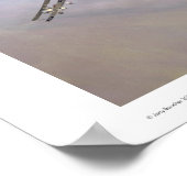 Fokker D.III Poster (Hoek)