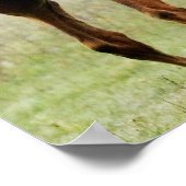 Fokkolt Poster (Hoek)