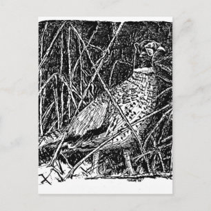 Fokmiddel (Rooster) Briefkaart