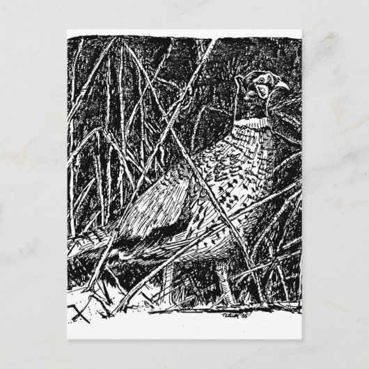 Fokmiddel (Rooster) Briefkaart (Voorkant)