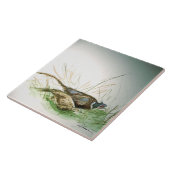 Fokmiddelen . . . tegeltje (Zijkant)