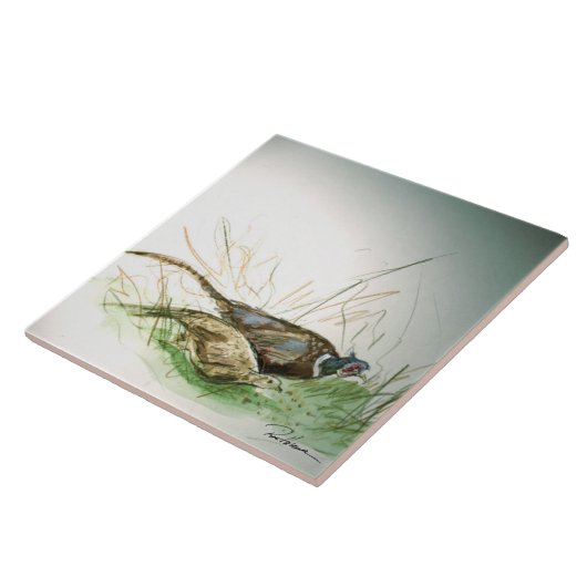 Fokmiddelen . . . tegeltje (Zijkant)