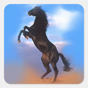 fokpaard vierkante sticker