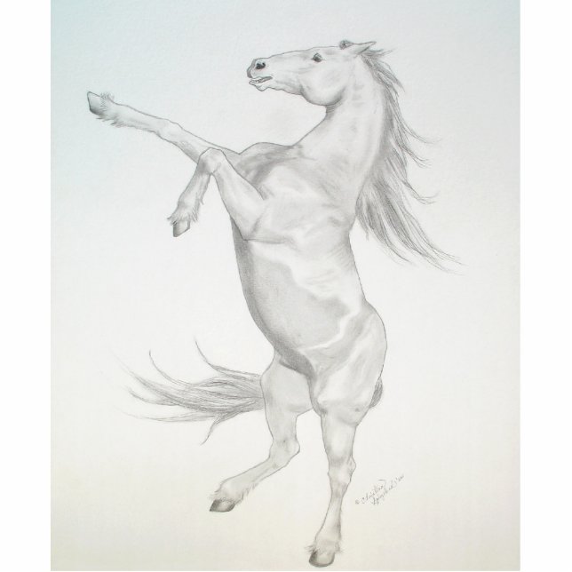 fokpaarden, acrylverstuiving staand fotobeeldje  (Voorkant)