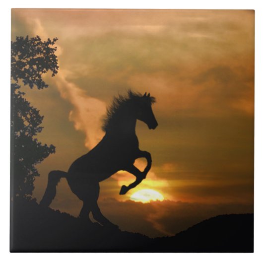  fokpaarden KunstTegel Tegeltje (Voorkant)