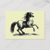 * fokpaarden * Visitekaartjes (Achterkant)