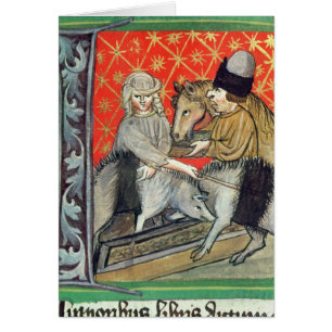 Fokvarkens en -paarden