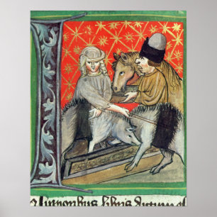 Fokvarkens en -paarden poster