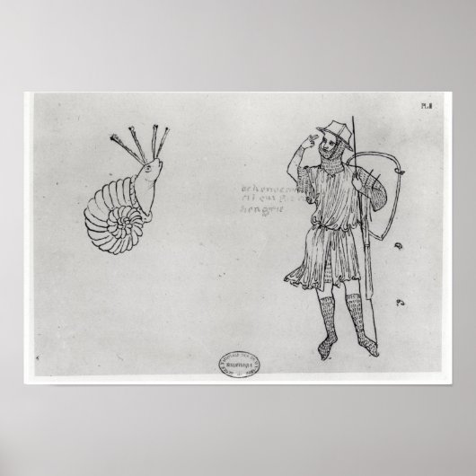 Fol.2 Slak en Hongaarse soldaat Poster (Voorkant)