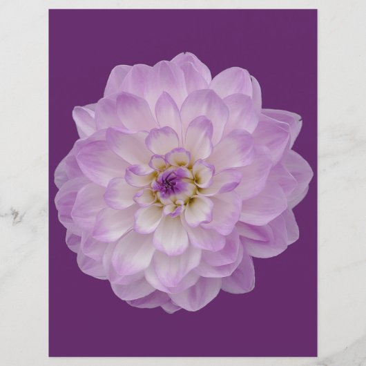 Foldable Wedding Reserved Dahlia Paarse Floral (Achterkant)
