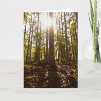 Folded Announcement Card, dwellingup Aankondiging