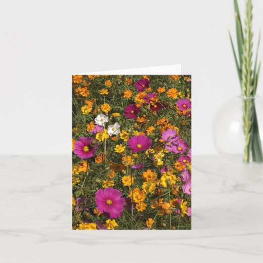 Folded greecard met foto van flowers kaart (Voorkant)
