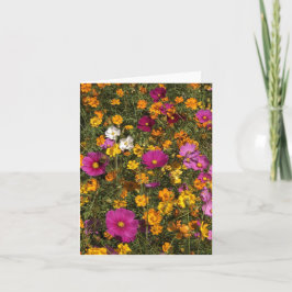 Folded greecard met foto van flowers kaart