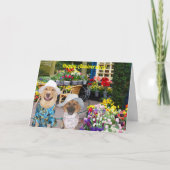 Folded Greeting Card Kaart (Voorkant)