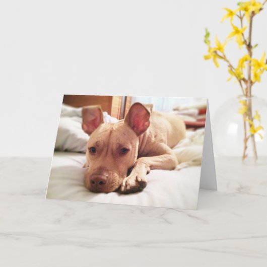 Folded Leon Wenskaart Kaart (Gele Bloem)